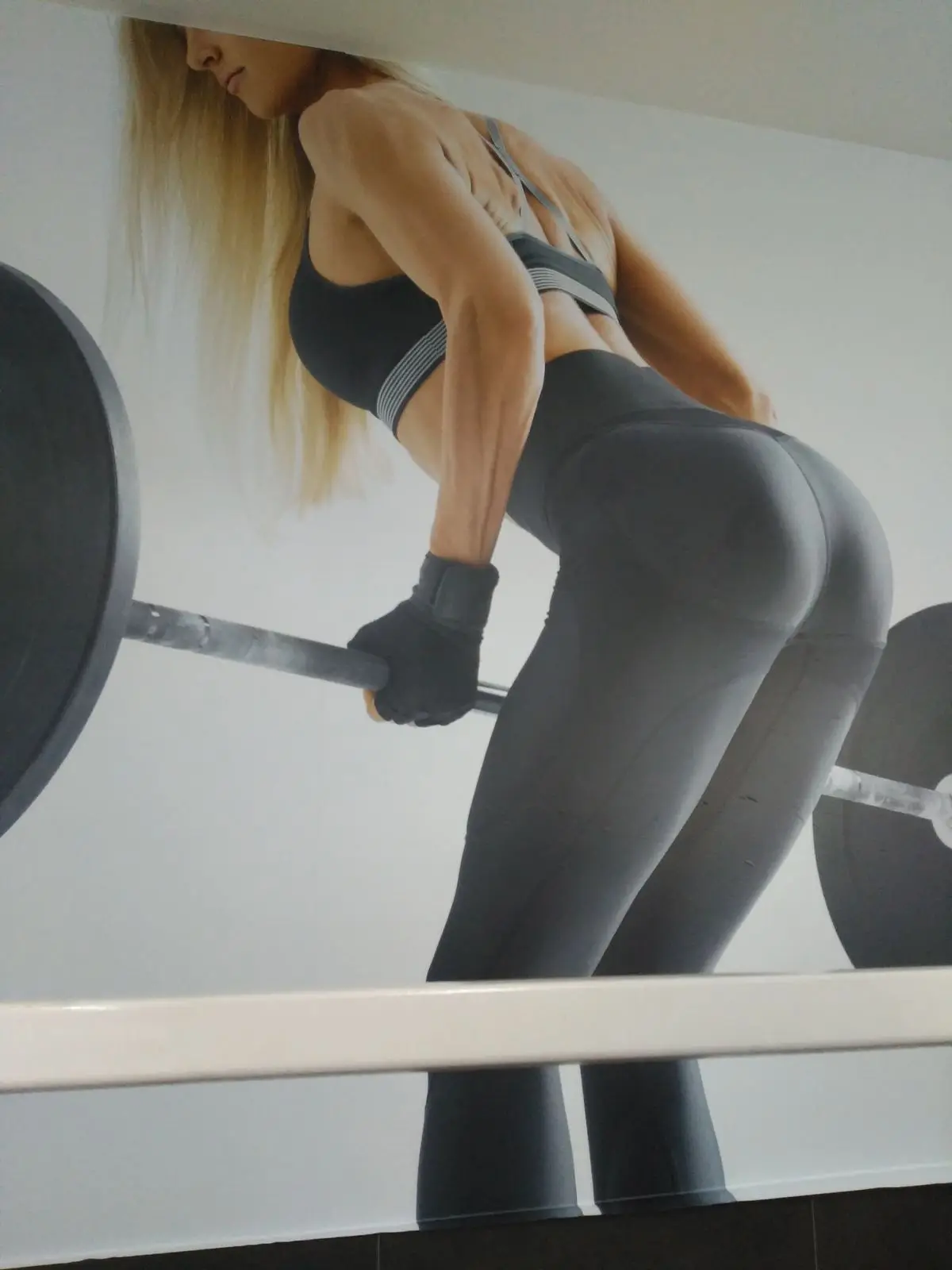 Murais Ginásio CF, fotografia 1